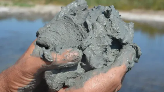 01KGSV98N123JGYF2BX70XN6N5-v1