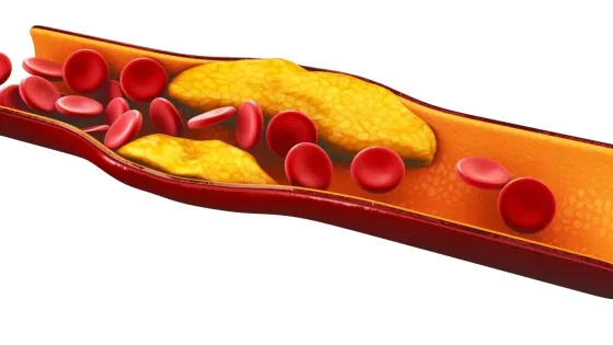 7m3lkit6lh7gmwxi4nznd5qmdv64g0xa-v1