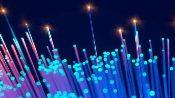 ed86b060-d6b7-4c78-b028-ba8b6d88d323