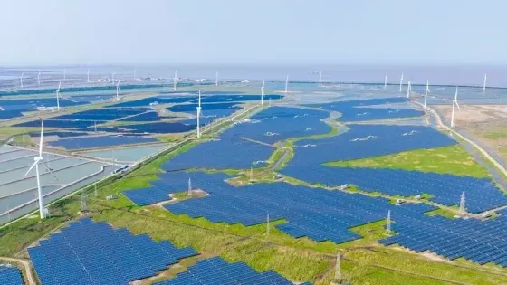 a238931a-da97-4e4a-94ce-f07d10e737a7-v1