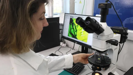 1770631336040161_K7QO-Vbc