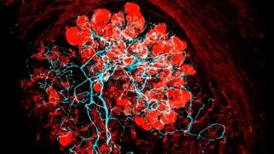 08924cc5-b4f9-4601-8000-9b2a1114d571