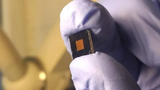 1770710105701768_p8bW9o1b