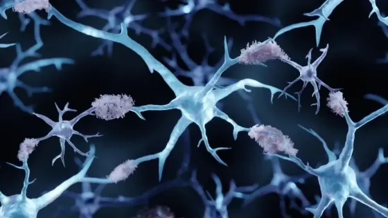 0979b91b-388f-4d6f-af97-d22f16a284d7