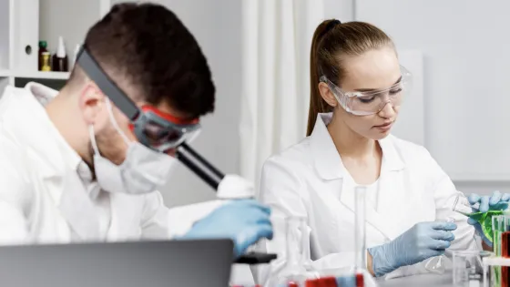 Снимок экрана 2026-02-11 в 22.09.49