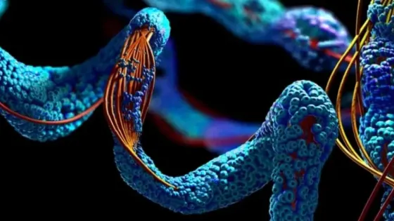 Танцующие молекулы восстанавливают спинной мозг после травм