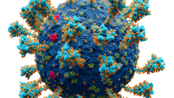 Coronavirus._SARS-CoV-2