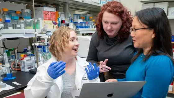 Технология создания молекулярных препаратов-клеев изменит терапию тяжелых заболеваний