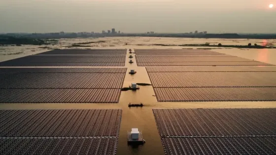 5a0bd369-7fd1-48c7-a1c2-948bf8b139a5