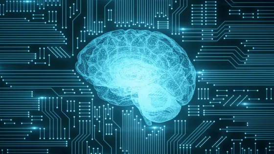 cw4pelj2vuknlffpjdry5ry6nqq