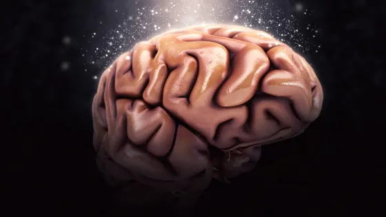 В США миниатюрное подобие мозга превратили в управляющую систему робота