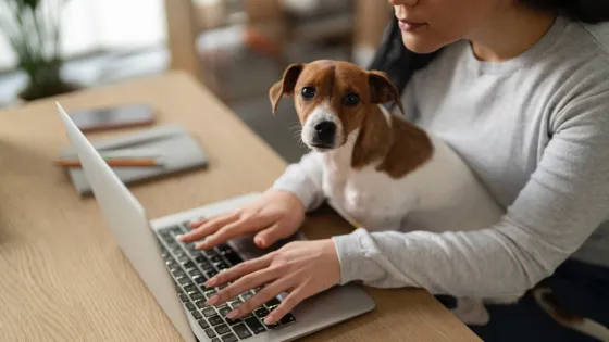 01KJAYPP1NQKXX15RXZMAGV9EJ-v1