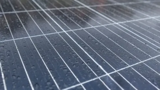 96133624-af47-4eb8-9f21-8d7fd0105274