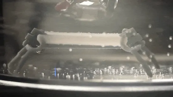 Снимок экрана 2026-02-27 в 23.17.20