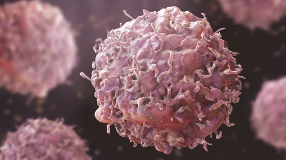 56gef_pdt1sxiaptqvxdkuvmkyo