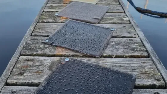 289ddfd7-0b57-40fe-ae39-6aa62eeae2fe-v1