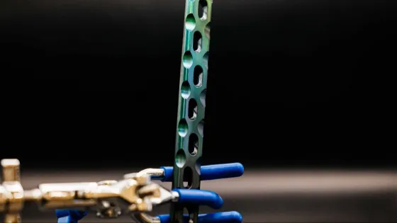 01KJR1WGDMJDGD6N78PD8WWVSN-v1