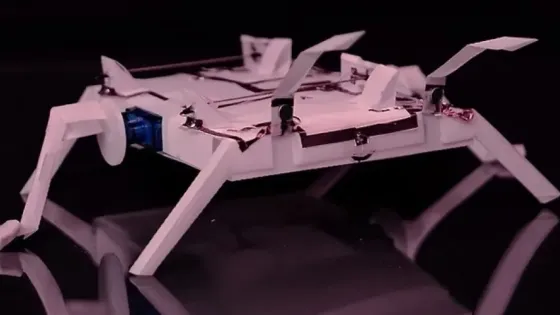 1e806bcb-f2e8-4720-806a-4d79e06d39e2