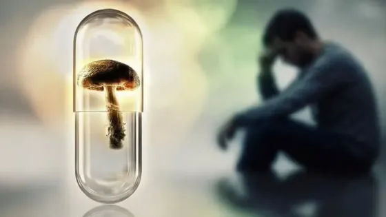 Психоделики восстанавливают структуры мозга при ПТСР