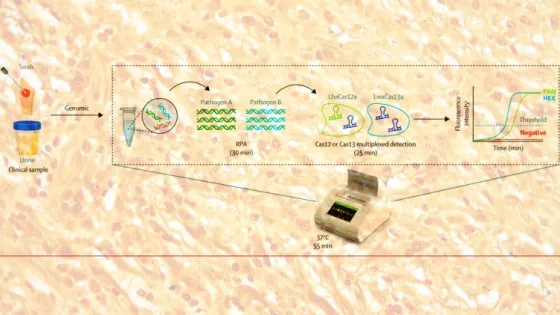 69aaeddb3d0b7_img_tablet-v1