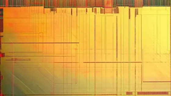 b2446e12-c2ea-4fbc-9c6c-53a72086eefe