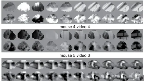 44e433ac0b90c15867300ec7e5da0862-v1