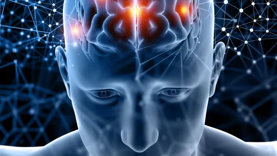 01KKCK1V2H60NBNEPD2BENM39F-v1