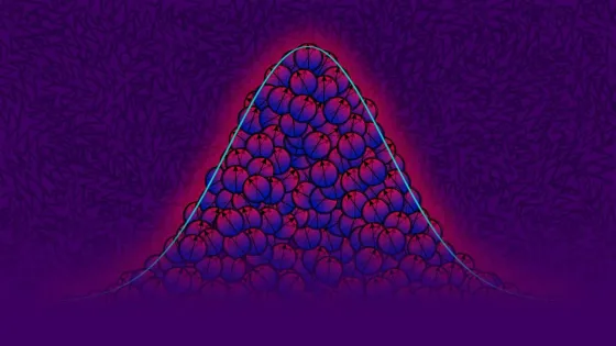 photo_2026-03-11_14-54-23