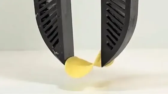 287f4fd0-a244-4a59-a878-cf6a58d0d955-v1