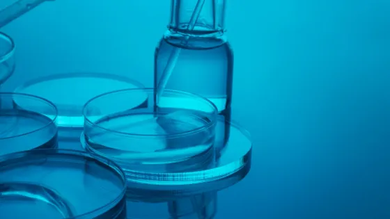 В БФУ и МИСиС изучили потенциал микроматериалов для медицины и инженерии