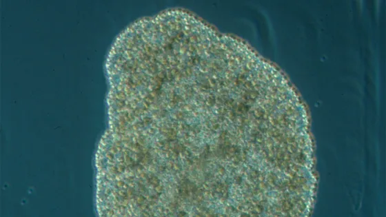 3c2710ca6a6b98c0264643aa01e1e779-v1