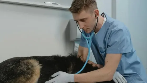 ef3a3cd1-0fbe-4145-8aef-ace27f33ded8