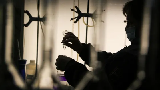 1773672963516872_YUTLrJAL