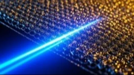 01KM14K93W6BTTBZJHZANXVWV9-v1