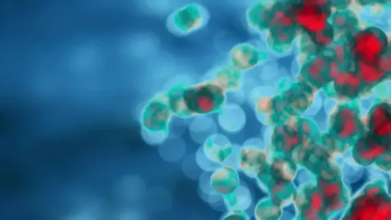 60b5fcf1-be80-48bb-98ac-73d72ce73799