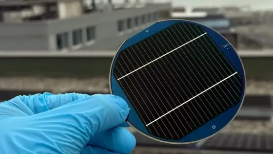 e8907a33-e9e5-432d-846f-57add4e2891d-v1