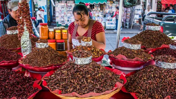 bb6cd2c824d38891d56337b9af6fed6e