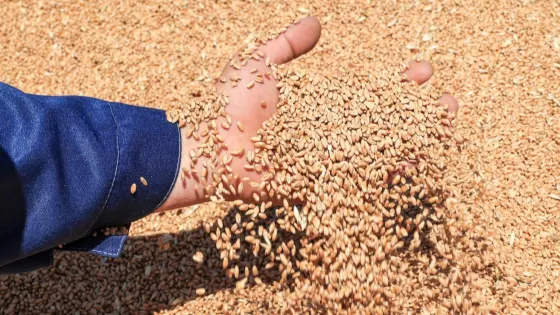 1774431907750420_bzz8GQBg-v1