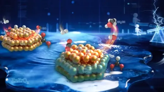 cf4c8f3f-afdf-472c-b7ff-d96c8ad3b49b