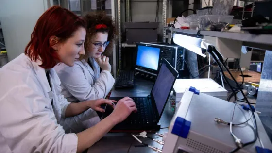 1774955145461724_pkN23dms-v1