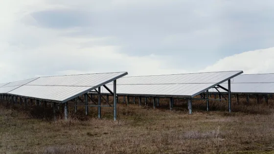 Доля возобновляемой энергетики в мире достигла почти 50% в 2025 году