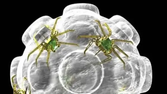 Создана технология переноса органелл между клетками