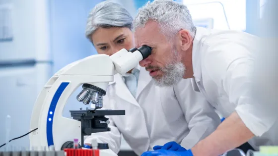 Новые препараты блокируют ключевые белки рака и усиливают эффект иммунотерапии