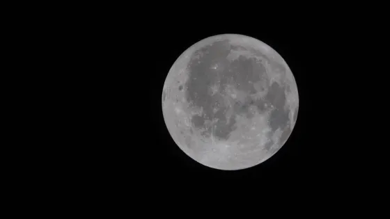 Она «не такая, как ожидали»: экипаж Artemis II увидел Луну вблизи