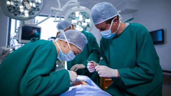 01KNMMDJ7BE3SM89Q09AZQXCRX-v1