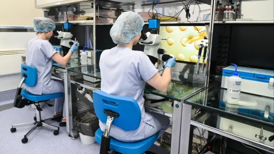 1775545474183095_ZuKaLDTu-v1