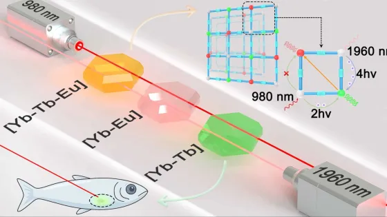 Risunok-1.Graficheskoe-rezyume-issledovaniya-v1