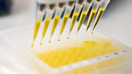 bd992ac2-8a13-4b7e-9fb0-4ca03975daf5