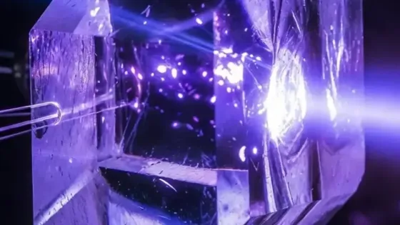 36d8cf44-635c-48c0-9b29-f2a15f9eee73-v1