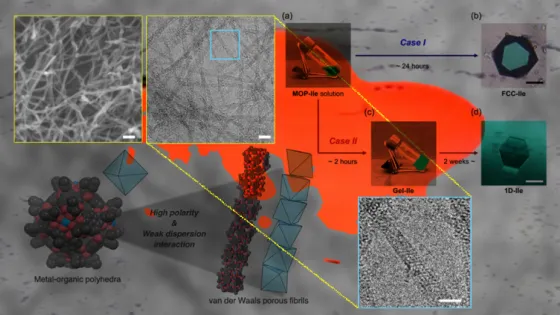 69d890cb40031_img_tablet